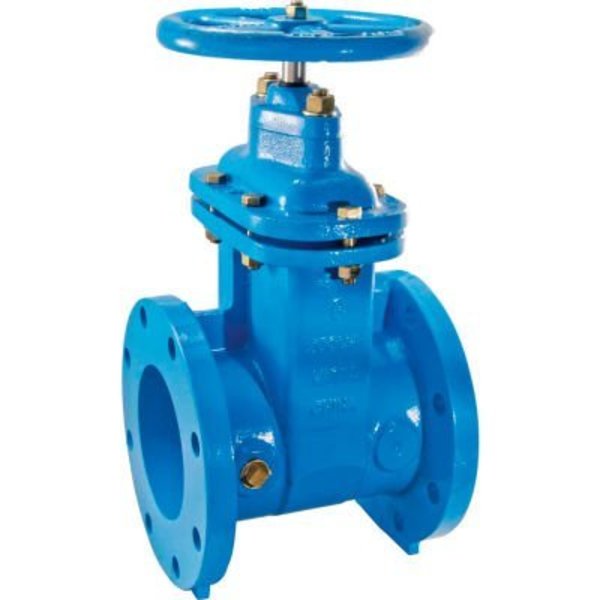 Watts Watts 405-NRS-RW Cast Iron Gate Valve 2 in FLG 0 700102